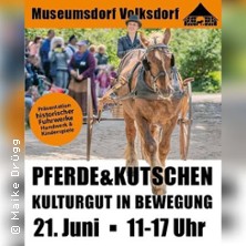 Pferde & Kutschen