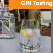Gin Tasting