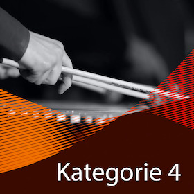 10er-Vorteils-Paket - Kategorie 4 - 10 Konzerte