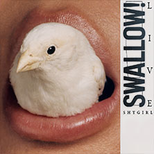 Shygirl - Swallow! Live