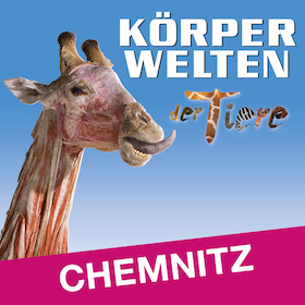 KÖRPERWELTEN der Tiere | Chemnitz | Zeitfensterticket