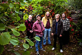The Harvest Community - The Spirit of Neil Young