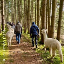 Die grosse Alpaka Wanderung! - Tourdauer ca. 4,5 Stunden