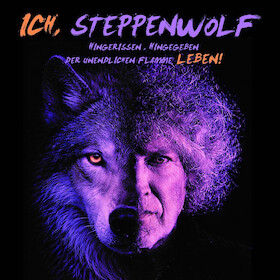 Ich Steppenwolf...