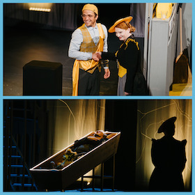 Der Besuch der alten Dame