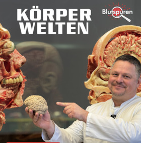 Ein Anatomie-Abenteuer über das Leben