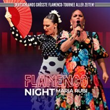 Flamenco Night