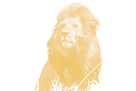 Heinrich, der Löwe