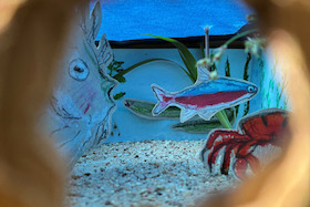Workshop Schule der Fantasie: "Unterwasserwelt"