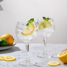 Garden Cocktails - Vom Balkon An Die Bar