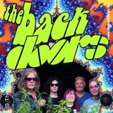 The Backdoors