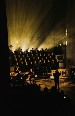 Anchora Live 2026