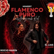Flamenco Puro