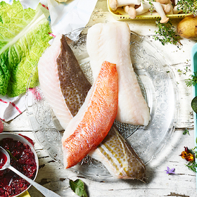 Küchenhandwerk - Fischfiletierkurs