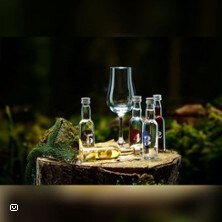 Gin Tasting