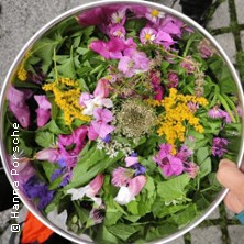 Kräuterwanderung in München