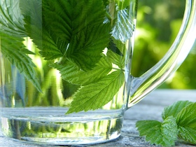 Kräutertees aus dem Garten