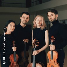 Kammermusik in den REM: 3. Konzert