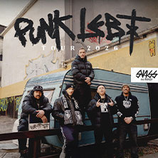 Swiss & Die Andern - Punk lebt Tour 2026