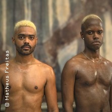 Mata Leão