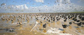 Im Licht der Sandbank