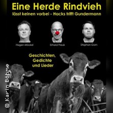 Eine Herde Rindvieh lässt keinen vorbei