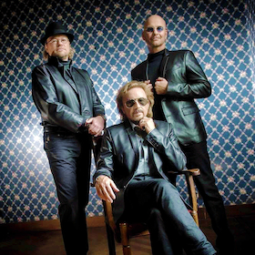 NIGHT FEVER | A Tribute to the BEE GEES