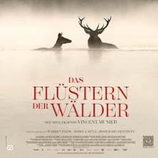 Das Flüstern der Wälder