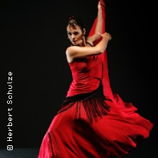 Flamenco Vivo - Flamenco
