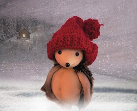 Der kleine Igel und die rote Mütze