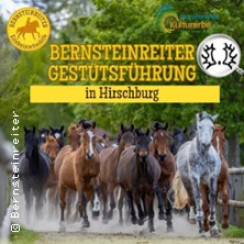 Gestütsführung Hirschburg