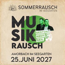 Musikrausch - Konzerttag