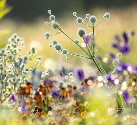 Der Foto-Workshop im Oktober