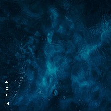 Ocean Wonders