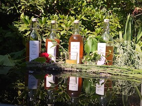 Sächsischer Wein und Weinelexiere - nach Rezepten von Hildegard von Bingen