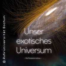 Unser exotisches Universum