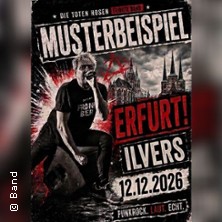 Musterbeispiel (Toten Hosen Tribute Band)