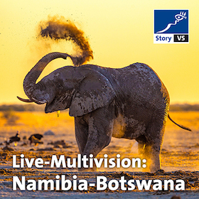 story VS: Namibia - Botswana - Echo der Schöpfung