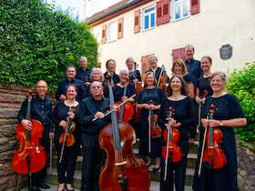 Kammerorchester musica salutare - Leitung: Adelheid Abt