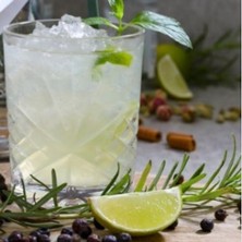 Gin Tasting