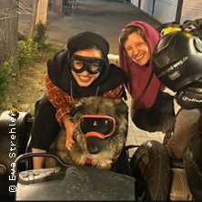 Frau, Hund und Gespann