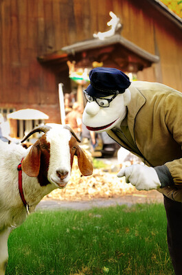 Werner Momsen - Momsen, Tiere, Sensationen