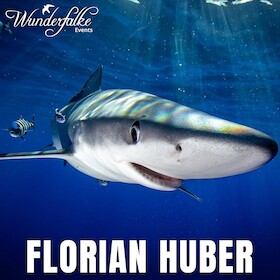 WUNDERFALKE: Haie, Wracks und Wasserdrachen - LIVE