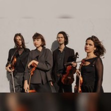 Alou String Quartet