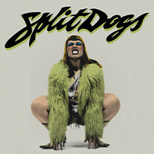 SPLIT DOGS