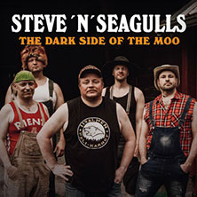 Steve 'n' Seagulls