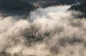 "Thüringens Wilde Wälder"
