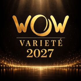 WOW Varieté - Akrobatikshow mit Musik und Tanz