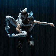 Schwanensee. Rotbarts Geschichte
