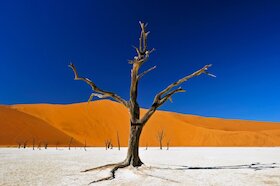 Namibia & Botswana - Echo der Schöpfung